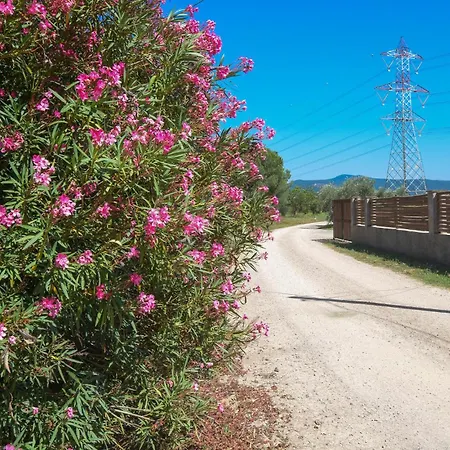 In Roccastrada